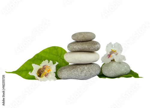 Sea stones with leaf isolated on white background