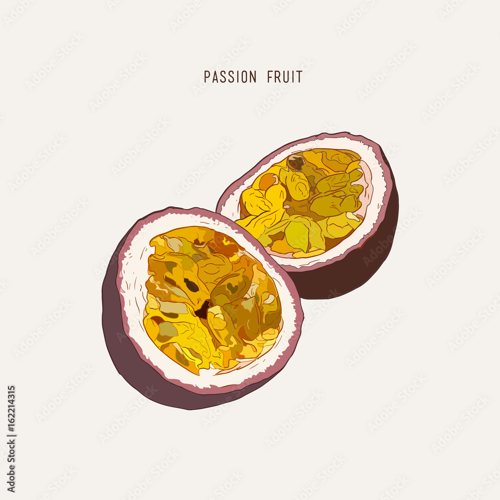 Passion fruit, passion slice. Vector hand drawn illustration Passion fruit, passion slice. Vector hand drawn illustration