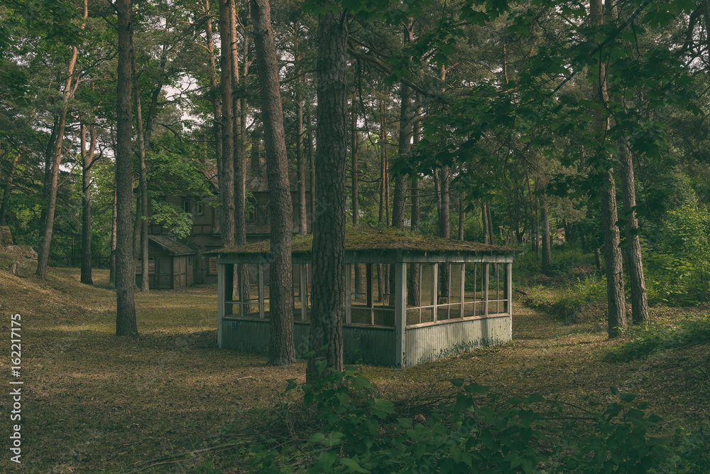 Wooden summerhouse in the forest