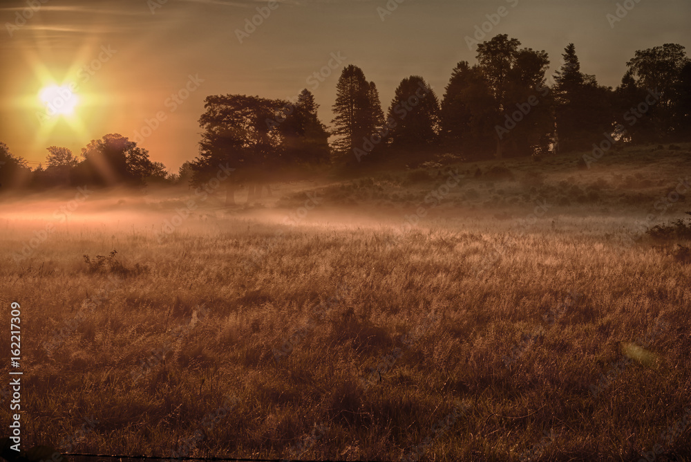 Fototapeta premium sunrise over a meadow on a farm