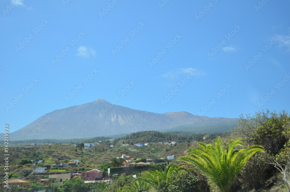 Tenerife norte Stock Photo Adobe Stock