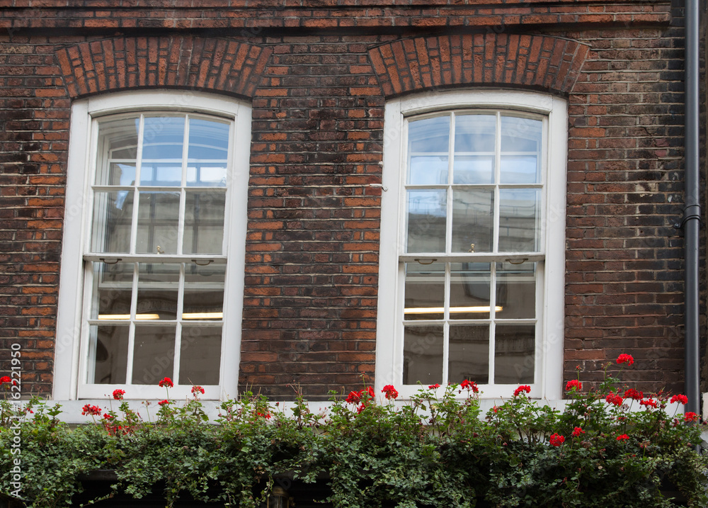 White Windows in Old Brick Wall Over Flower Boxes