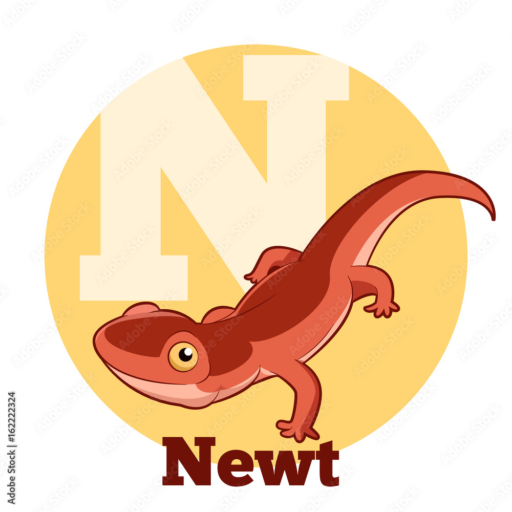 ABC Cartoon Newt ABC Cartoon Newt