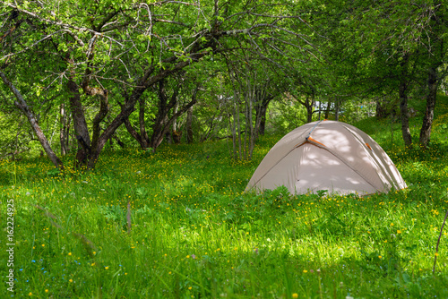 Picturesque tent  in the forest among the lush grass