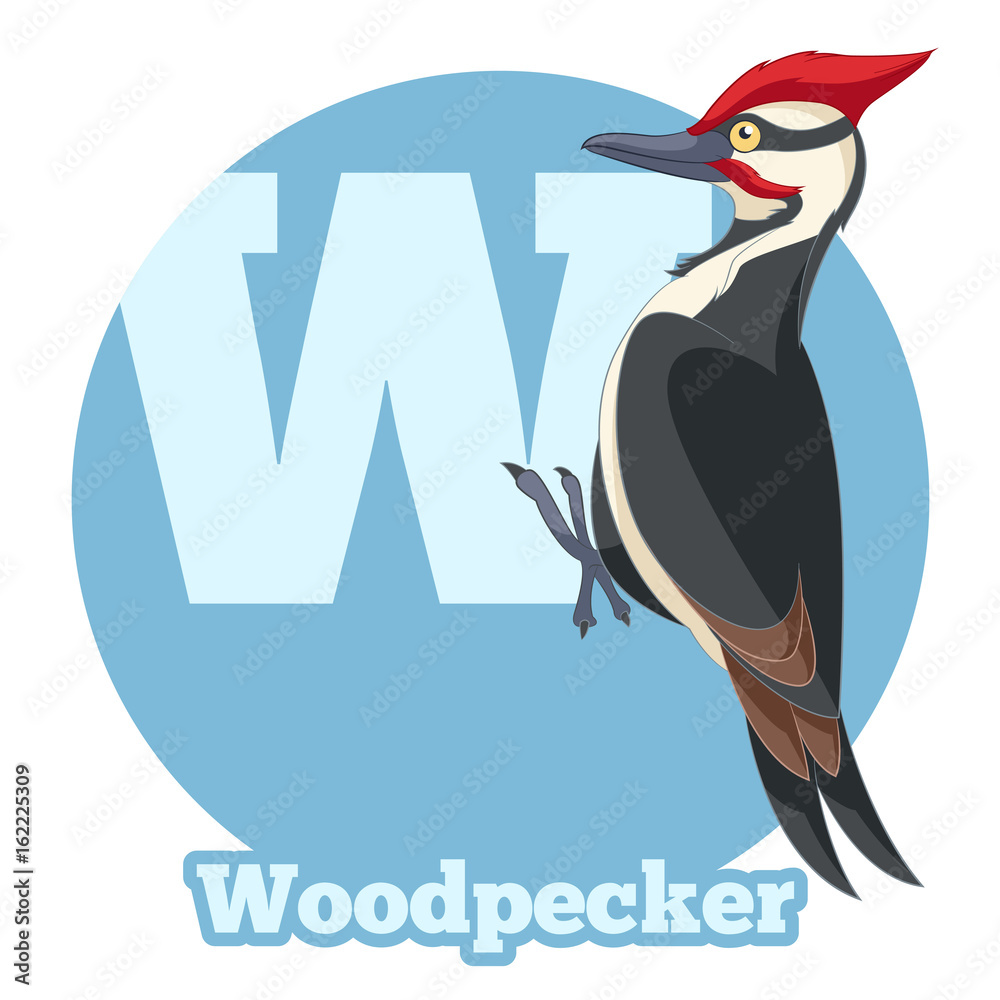 Obraz premium ABC Cartoon Woodpecker