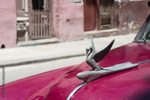 Swan emblem on a vintage car of the (now disappeared) Packard company, in Havana Cuba photo