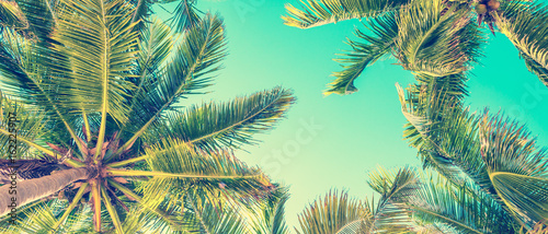 Blue sky and palm trees view from below, vintage style, summer panoramic background