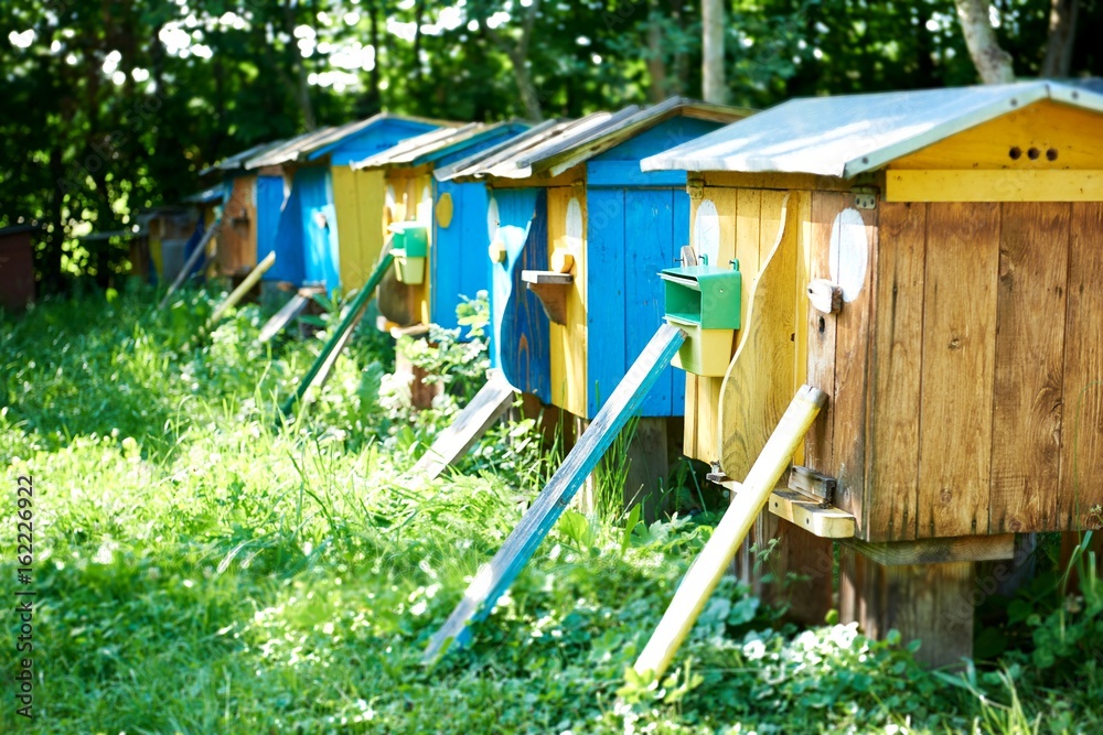 Row of beehives in an apiary outdoors in the garden nature summer spring seasonal beekeeping farming profession hobby honey craft concept. Row of beehives in an apiary outdoors in the garden nature summer spring seasonal beekeeping farming profession hobby honey craft concept.