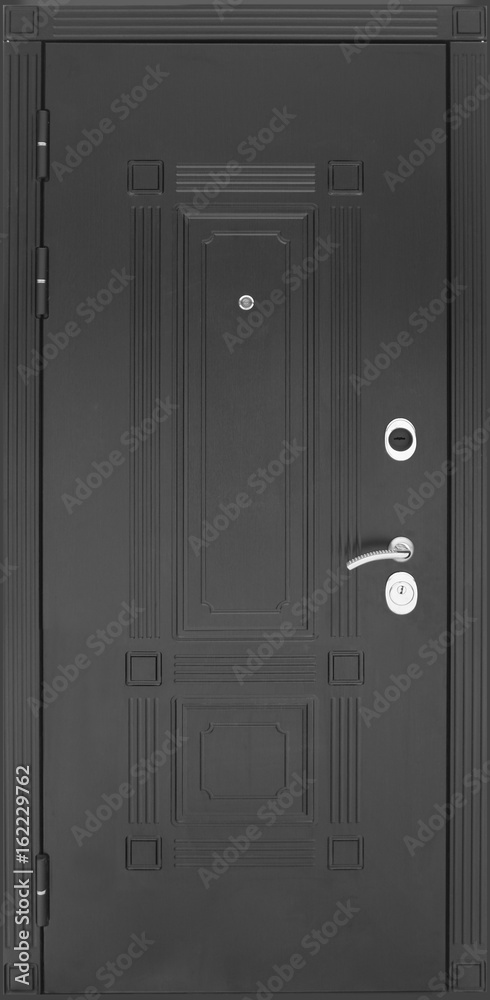 Obraz premium Entrance door (metal door)