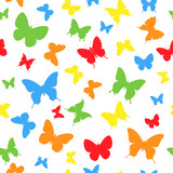 color butterfly background