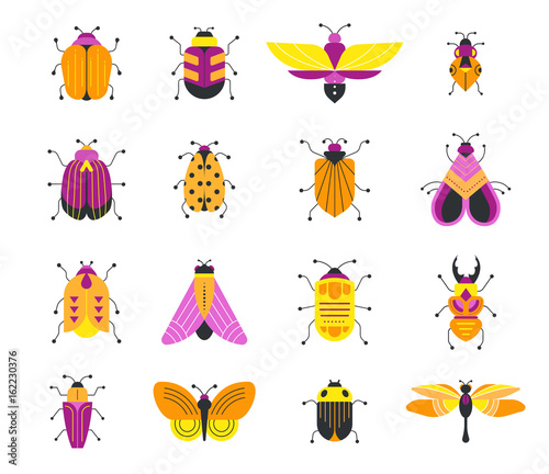 Bugs, insects, Butterfly, ladybug, beetle, swallowtail, dragonfly collection. Modern set of icons, symbols and illustrations
