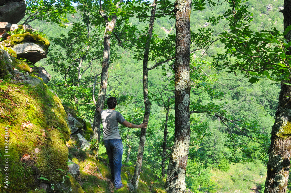 View From The Edge of The Hill. Summer landscape in forest in mountain View From The Edge of The Hill. Summer landscape in forest in mountain