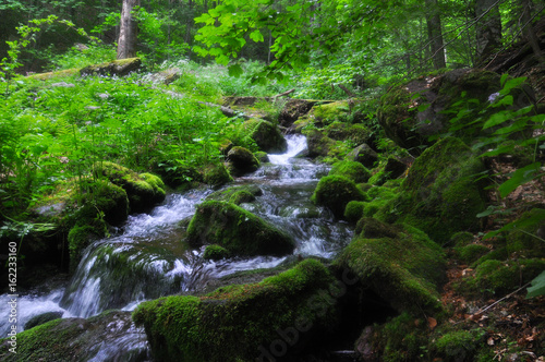 Beautiful view on mountain river under a Old Mountain, Serbia. Wild river with a lot of cascade. Mountain river with a fresh and clean water.