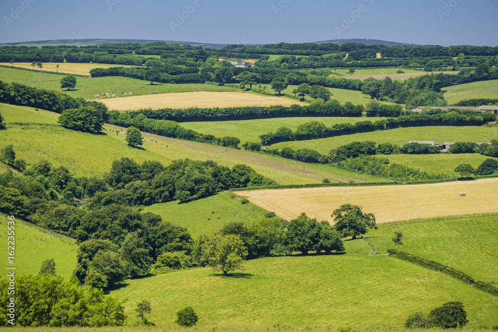 Obraz premium exmoor national park UK