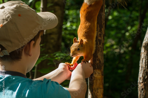 A boy feeding a squirrel in a city park
