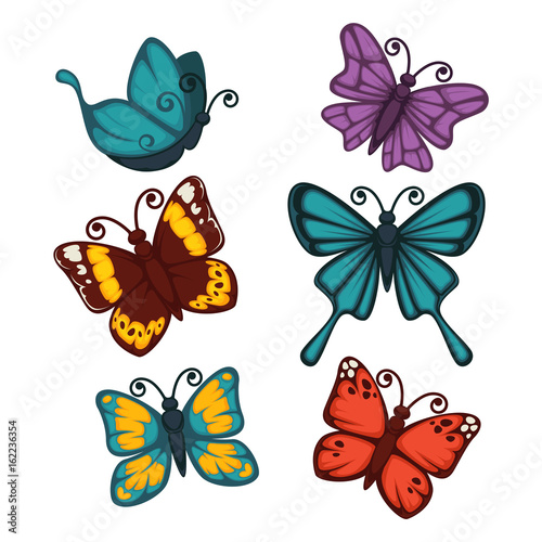 Colorful butterflies collection isolated on white vector poster © Sonulkaster
