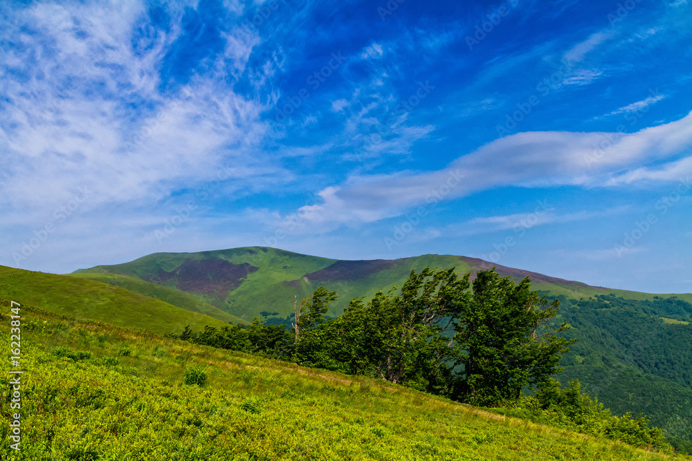 Sunny summer morning on the Borzhava ridge in the Carpathians