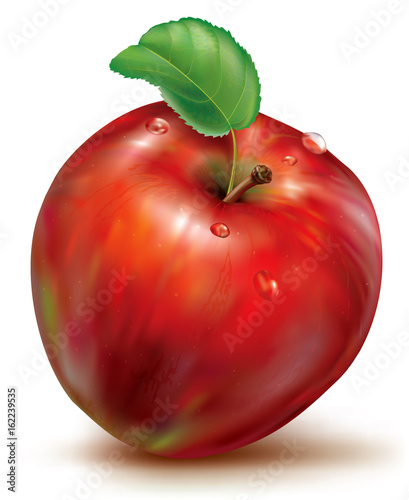 Vector of red apple on white background