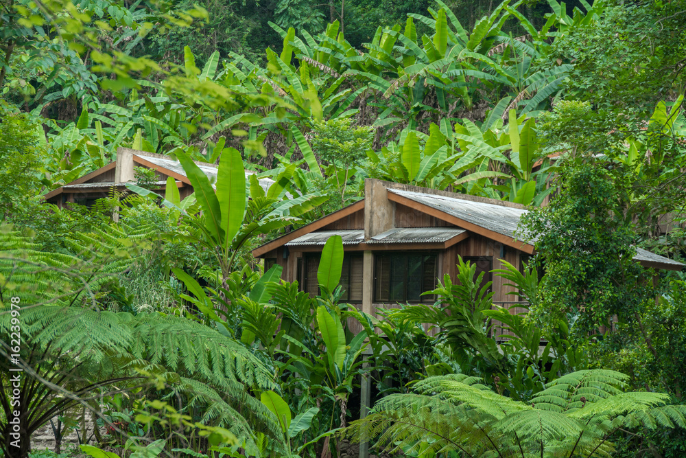 wood cabin in forest,wooden house in evergreen forest. wood cabin in forest,wooden house in evergreen forest.