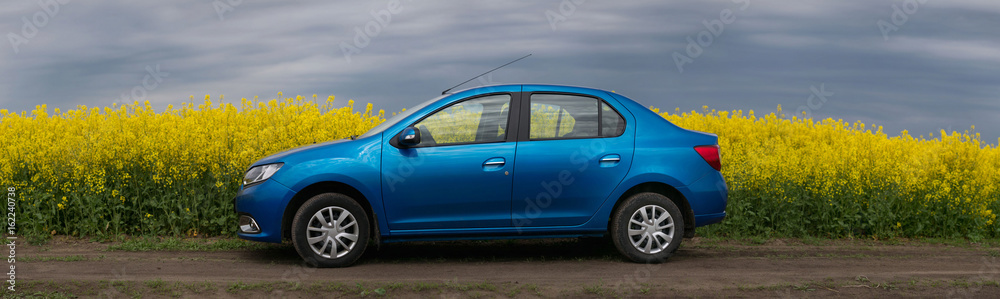 GOMEL, BELARUS - May 24, 2017: the blue car is parked on the rapeseed field.