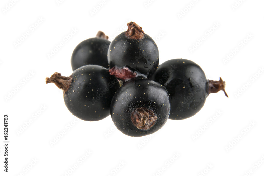 Black currant isolated on white background Black currant isolated on white background