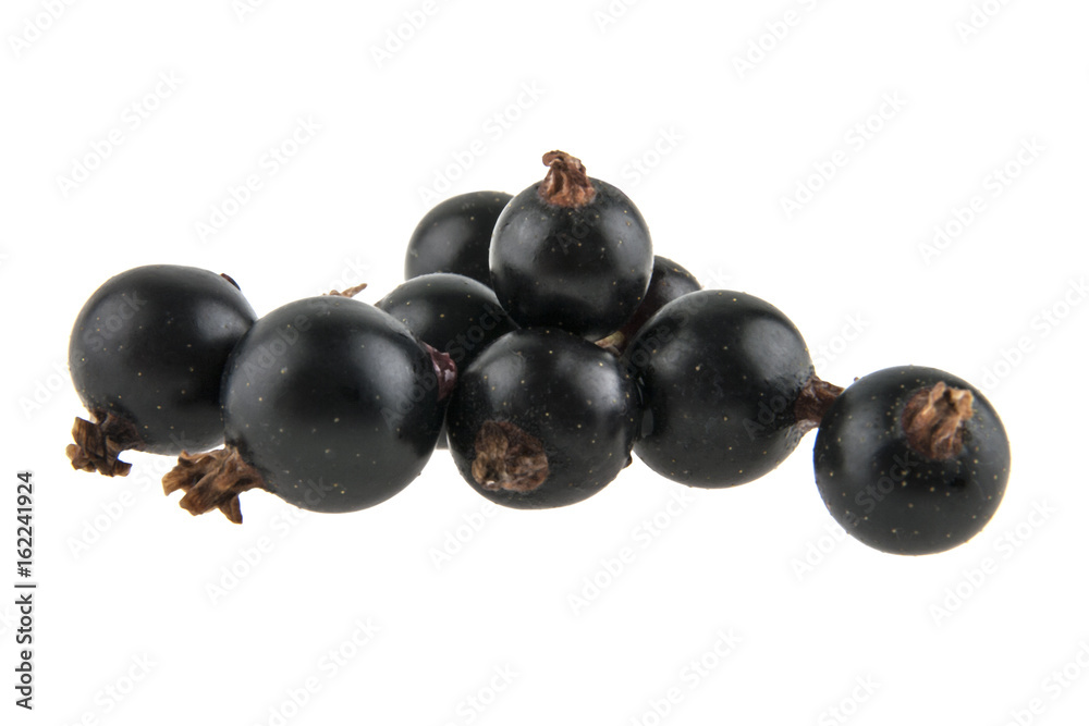 Black currant isolated on white background Black currant isolated on white background