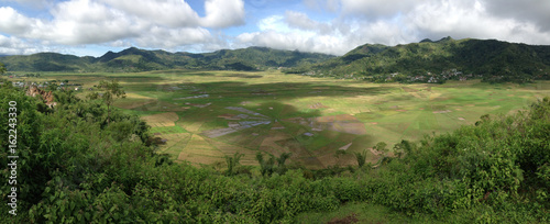 Spider Web Rice Field panorama photo