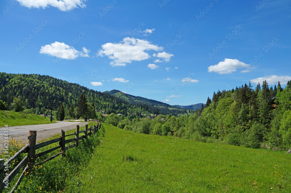 The road stretches among the mountain forests of the Ukrainian Carpathians