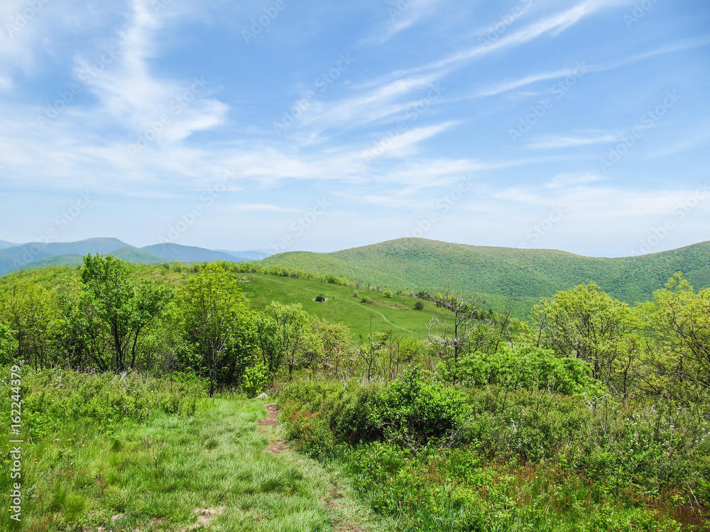 Shenandoah National Park meadows and hills on Cold Mountain hike in summer