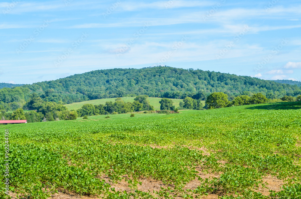 Farm landscape in rural virginia during summer with hills and meadows