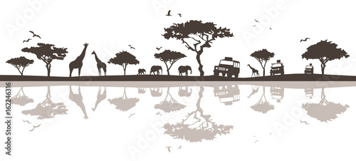 Silhouette Savanne