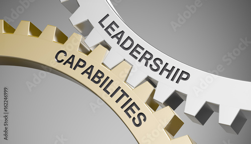 Leadership Capabilities / Zahnrad