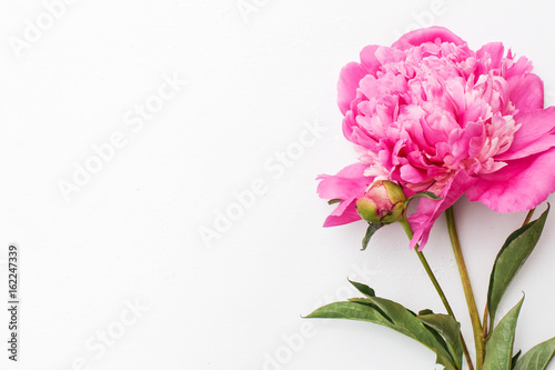 Pink peonies on white wooden background © Daria
