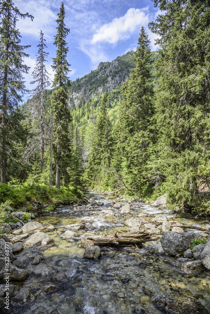 Fast mountain river. Fast mountain river.