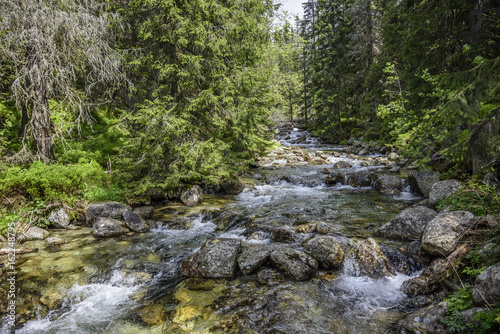 Fast mountain river.