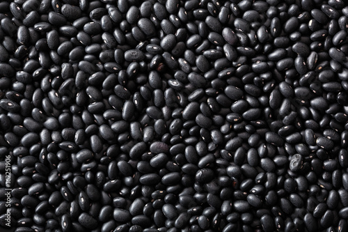 Obraz na płótnie black turtle beans legumes background w salonie