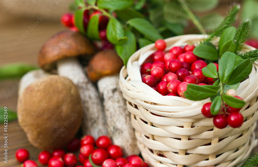 sprig of cranberries lying on a basket filled with red berries, on a background of mushrooms