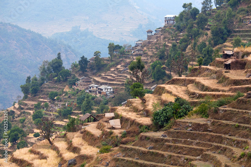 Terraced rice fields in Landruk village of gurungs on Annapurna Circuit Trek in the Nepal Himalaya photo