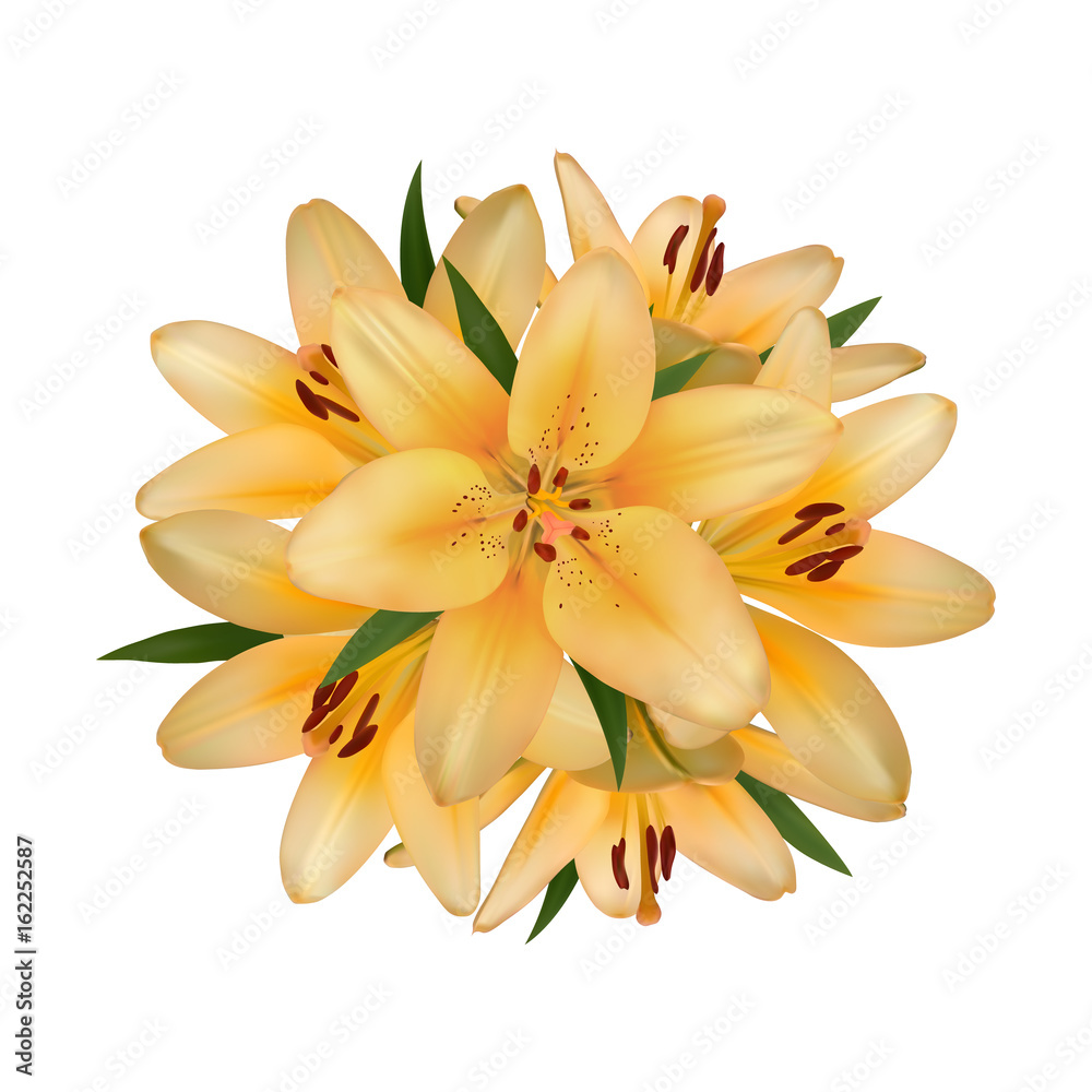 Realistic vector flowers background. Bouquet of orange lilies. Isolated vector illustration on white background. Realistic vector flowers background. Bouquet of orange lilies. Isolated vector illustration on white background.
