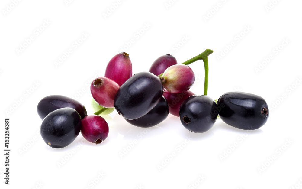 Jambolan plum or Java plum on white background Jambolan plum or Java plum on white background