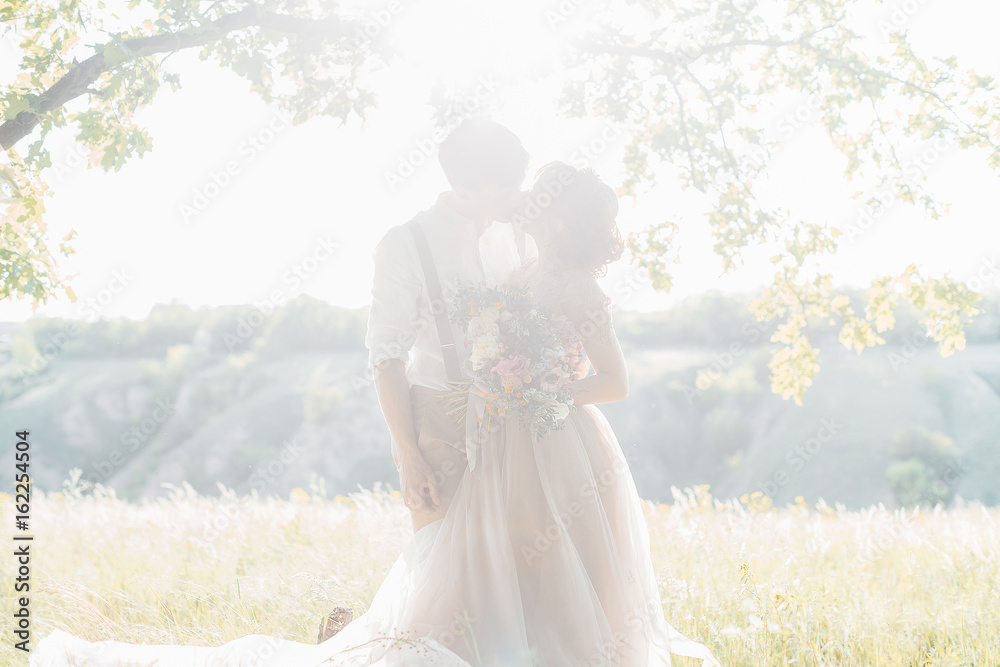 wedding couple on  nature.  bride and groom hugging against the sun at wedding. 