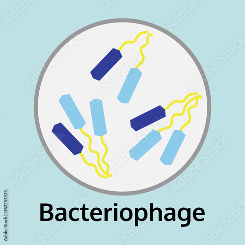 illustration of Bacteriophage disease in the trial tray, medical info graphic virus vector