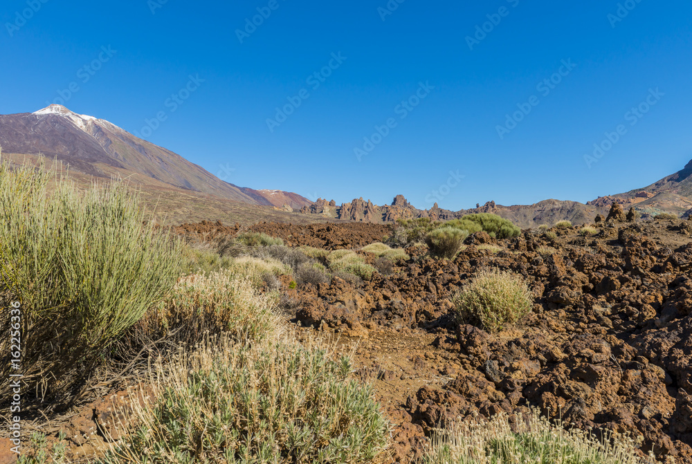 Lava Field with El Teide