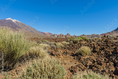 Lava Field with El Teide