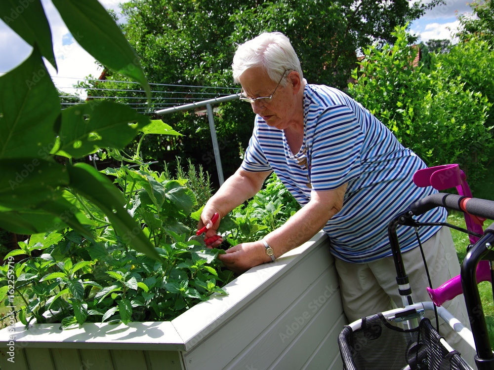 Oma im Garten Stock Photo Adobe Stock