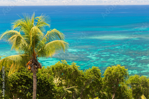view to indian ocean from island with palm tree