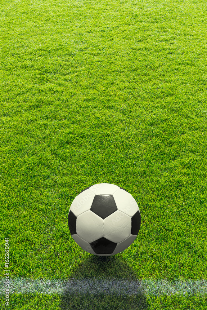Hintergrund ein Fußball liegt vor einer Linie auf dem Rasen - Background a soccer ball lies in front of a line on the grass - obrazy, fototapety, plakaty 