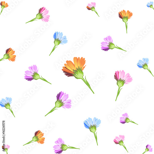 tanti fiori insieme