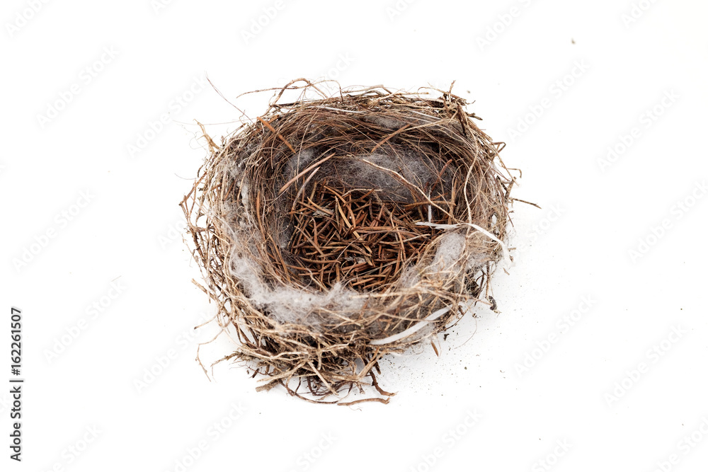 Obraz premium Empty bird nest