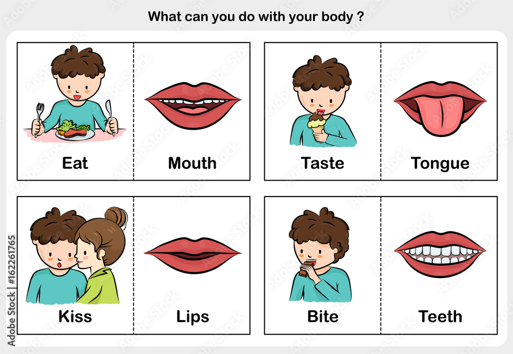 five senses - touch, taste, hearing, sight, smell. - worksheet for ...